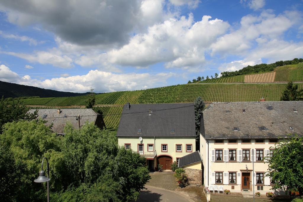 Weingut Koch Hotel Neumagen-Dhron Buitenkant foto