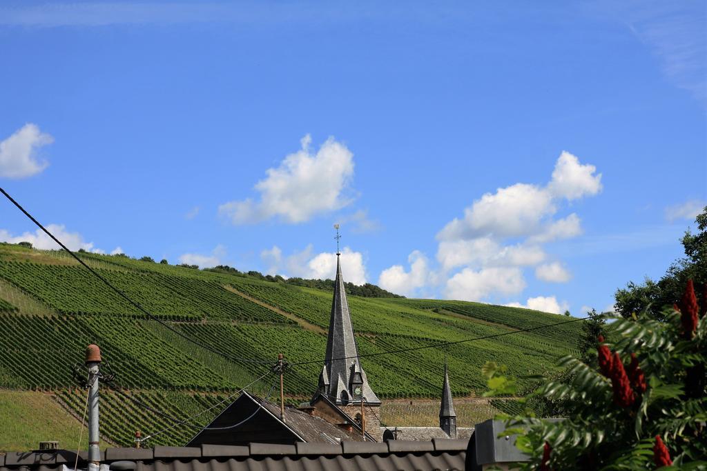 Weingut Koch Hotel Neumagen-Dhron Buitenkant foto