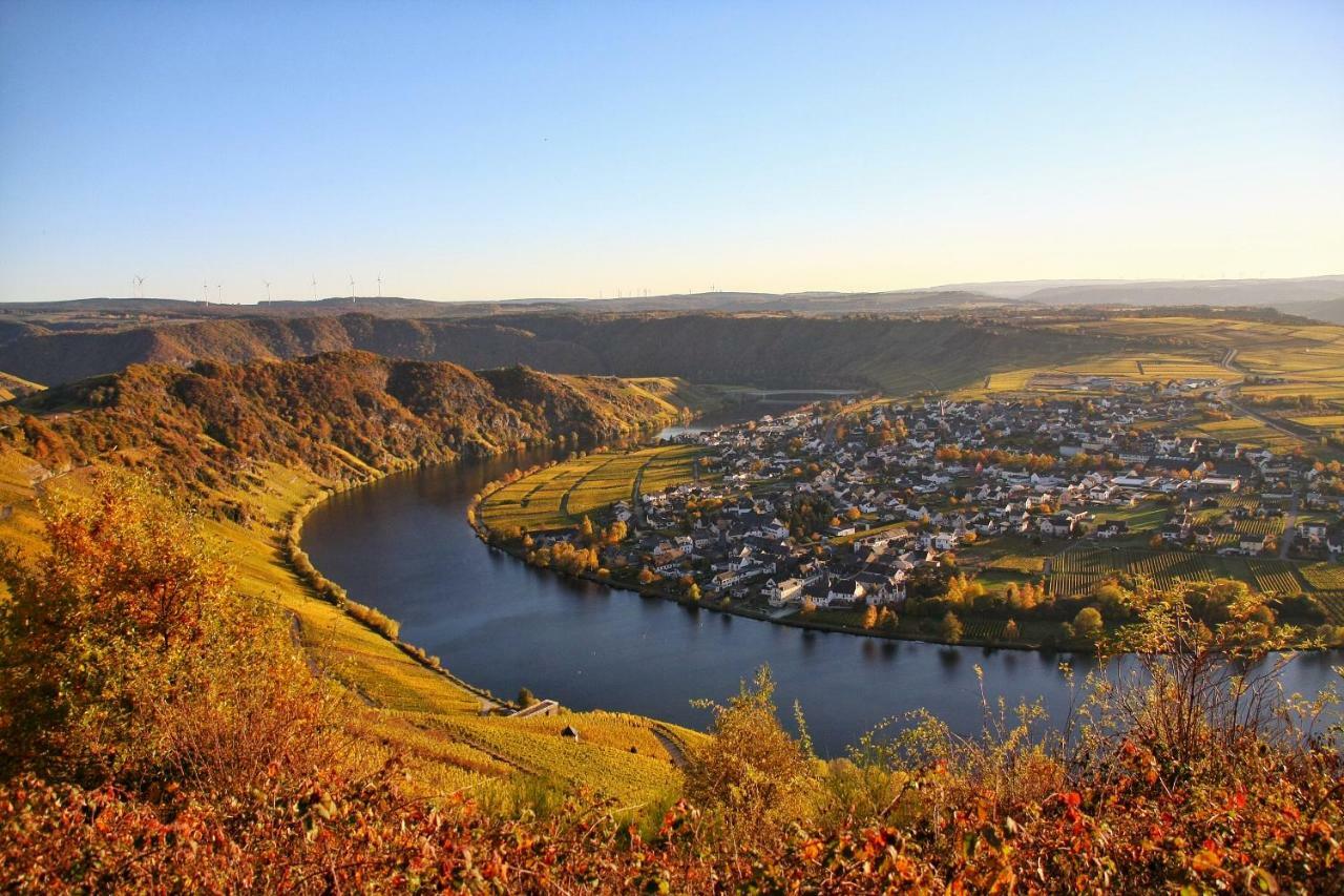 Weingut Koch Hotel Neumagen-Dhron Buitenkant foto