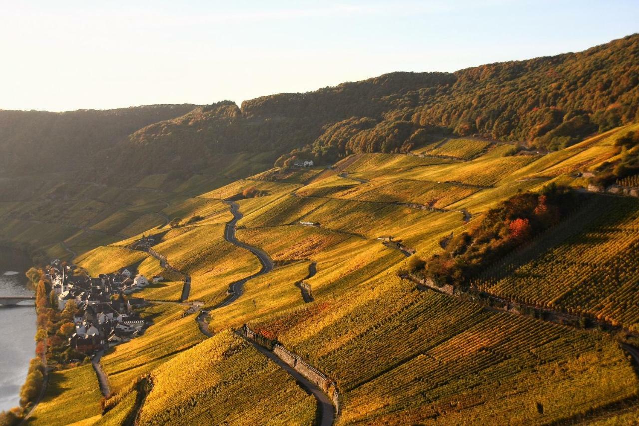 Weingut Koch Hotel Neumagen-Dhron Buitenkant foto